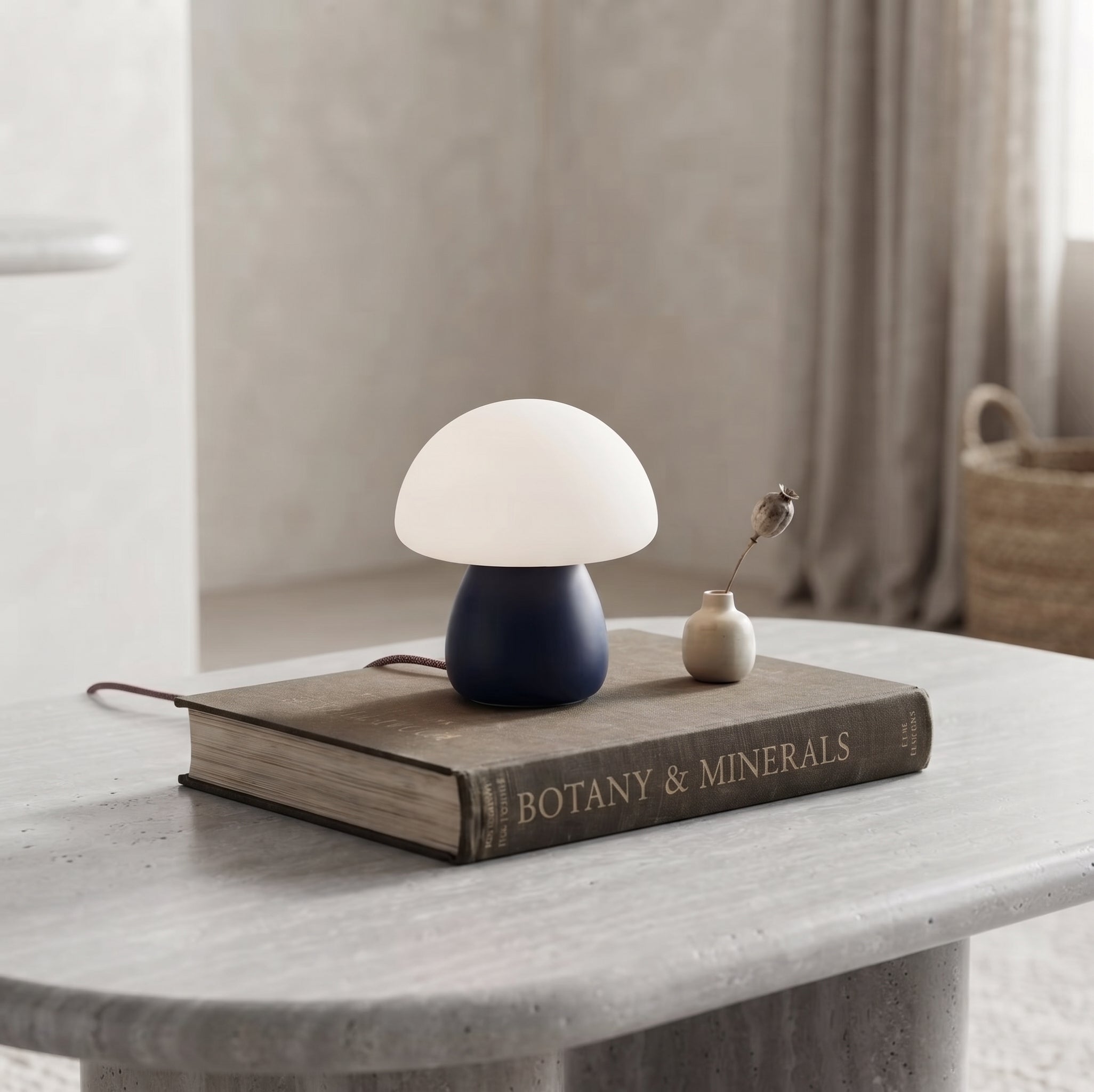 Cute Mushroom LED Table Lamp Touch Dimming USB Charging Night Light